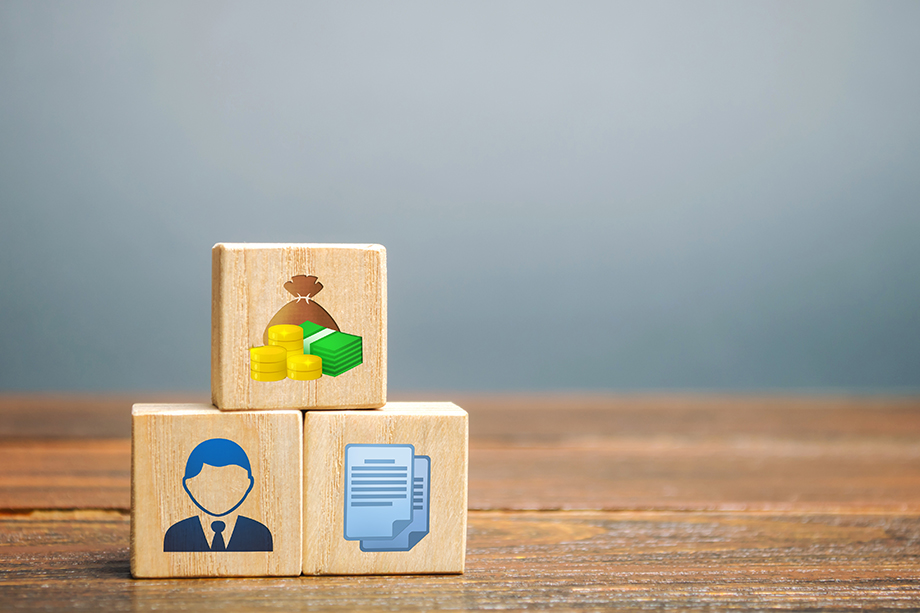 What is a Limited Liability Company?